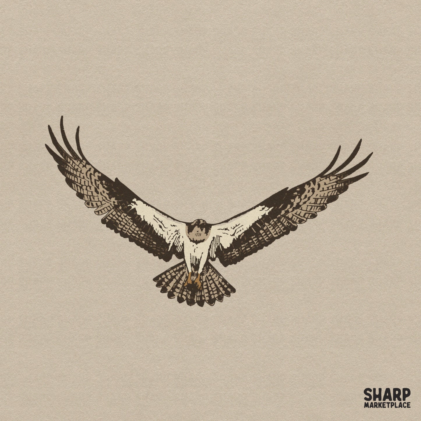 Detailed flying hawk illustration Western PNG for memorial hunting shirts and vintage bird of prey sublimation designs