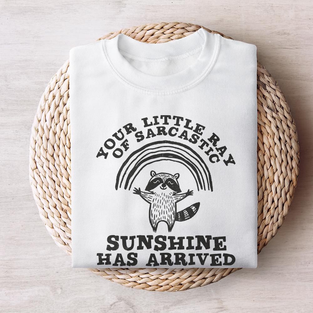 Your Little Ray Of Sarcastic Sunshine, Sarcastic png PNG - 300 DPI Design
