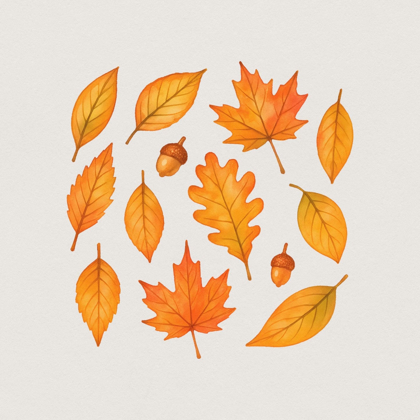 Autumn Leaves Watercolor PNG, Fall Leaf Clipart - 300 DPI Design for