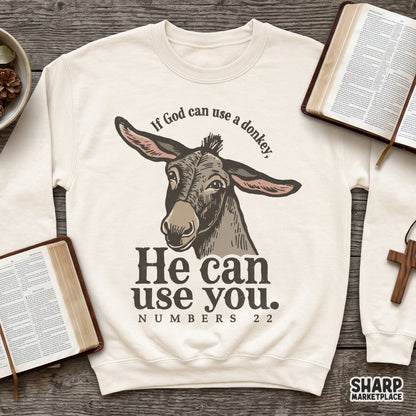 Funny Christian png graphic featuring a biblical humor donkey quote for t-shirt sublimation and faith-based digital download