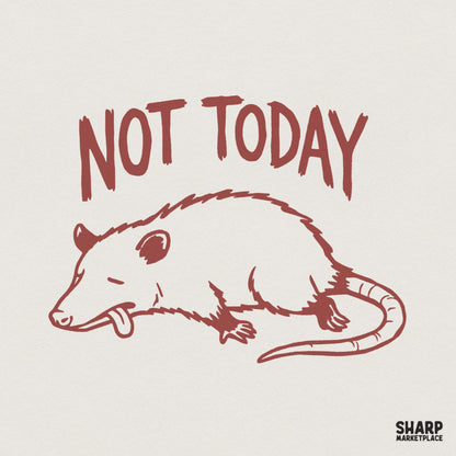 Not Today PNG, Funny Opossum Digital Download - 300 DPI Design for T-Shirt