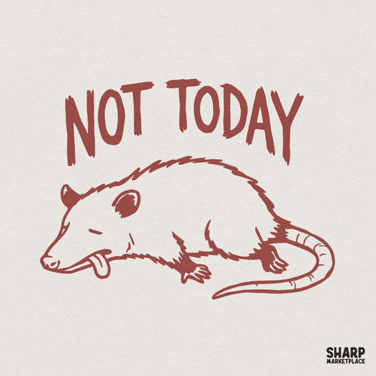 Not Today PNG, Funny Opossum Digital Download - 300 DPI Design for T-Shirt