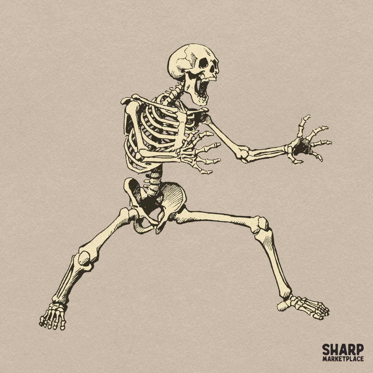 Dynamic Lunging Fighting Skeleton Martial Arts Stance