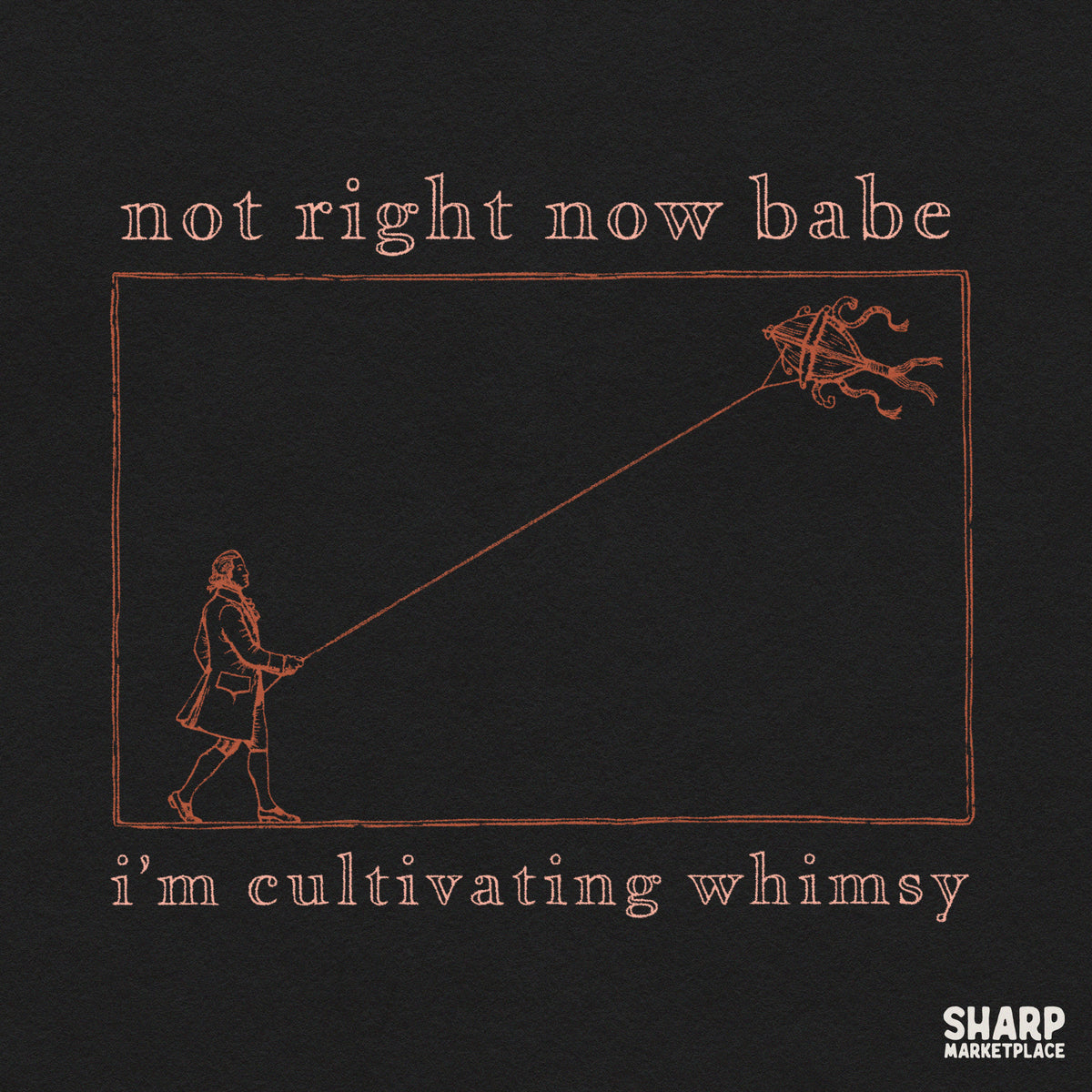 Vintage kite flyer design with funny sarcastic quote Not Right Now Babe I'm Cultivating Whimsy for trendy t-shirt PNG