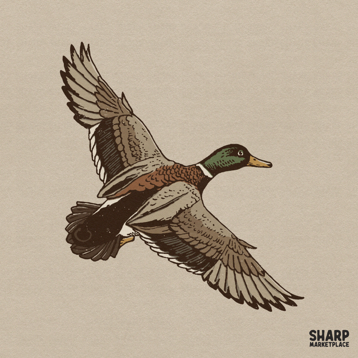 Detailed retro illustration of a flying mallard duck for hunting shirt sublimation and outdoor apparel graphics