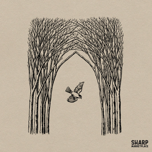 Bird Flying Through Gothic Tree Archway PNG, Dark Academia