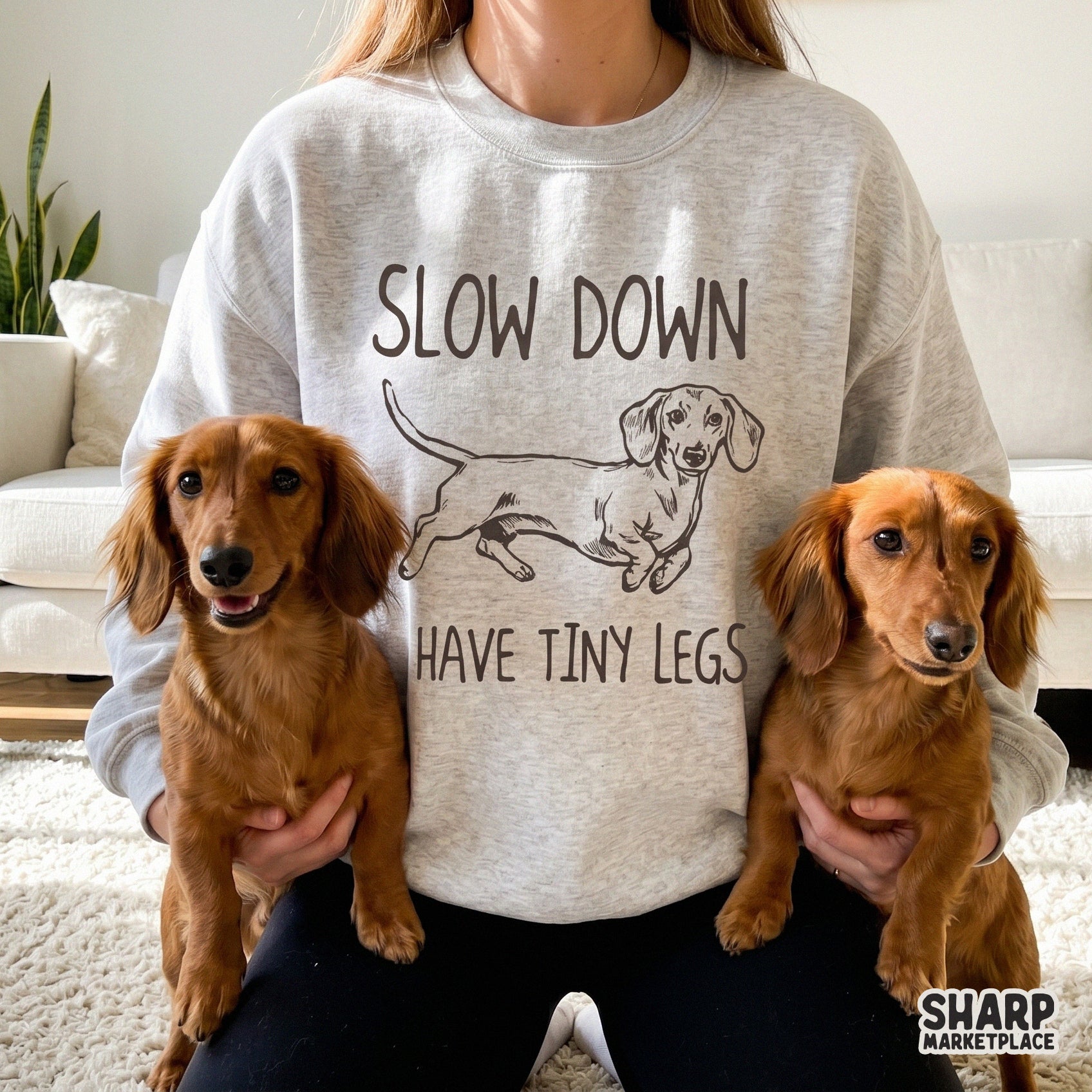 Slow Down I Have Tiny Legs Dachshund PNG, Shirt Png - 300 DPI Design for