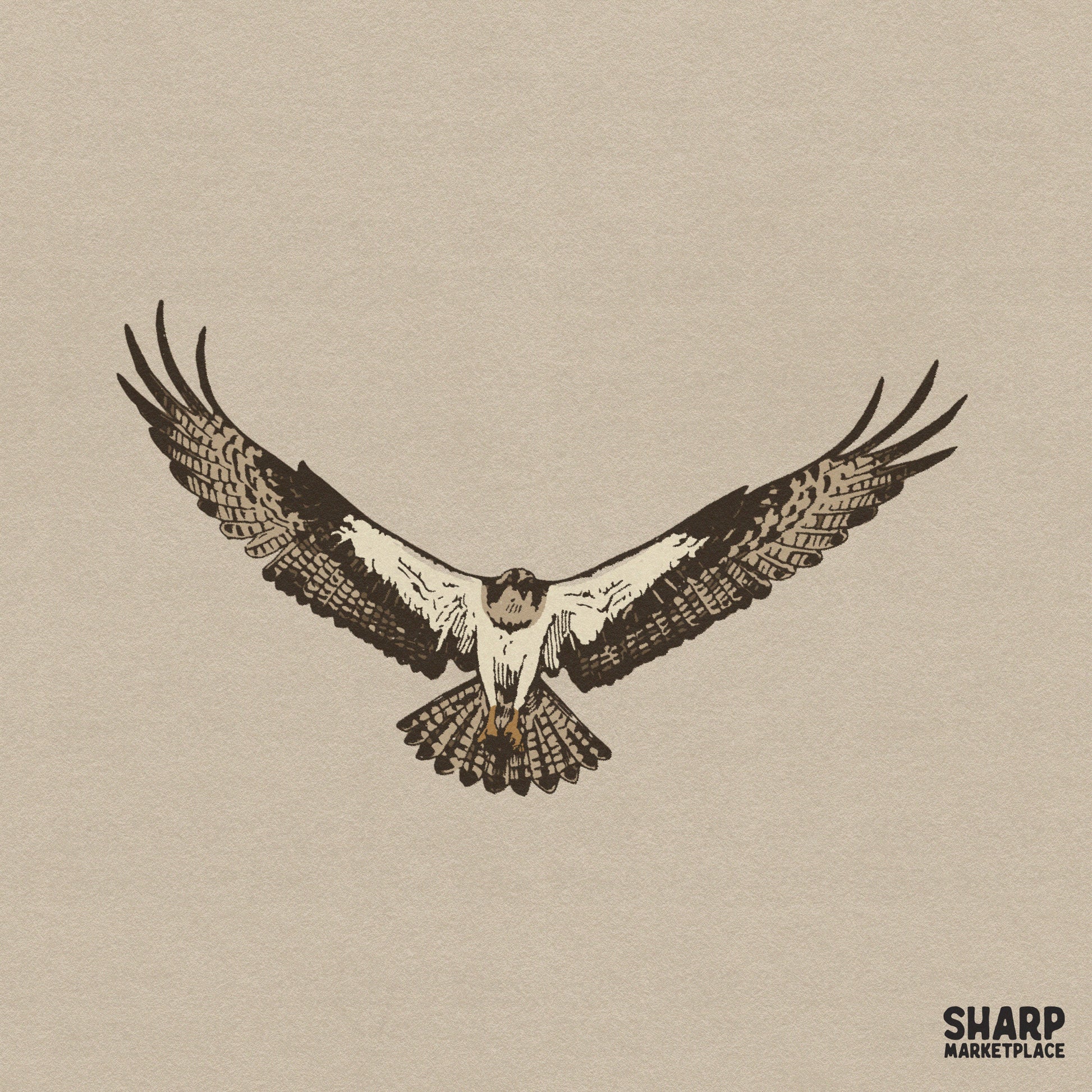 Detailed flying hawk illustration Western PNG for memorial hunting shirts and vintage bird of prey sublimation designs