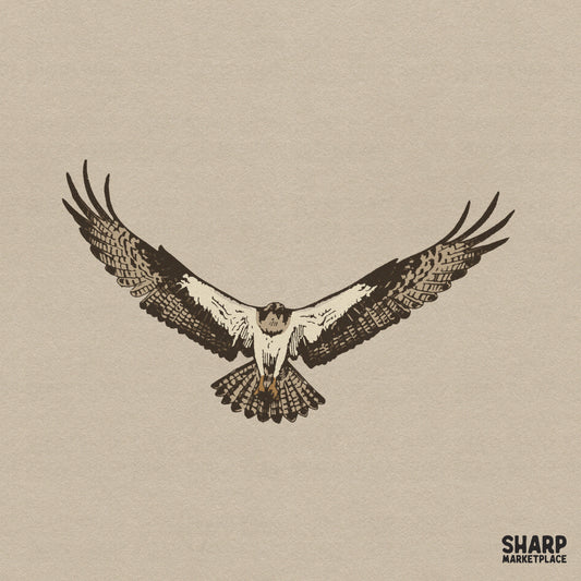 Detailed flying hawk illustration Western PNG for memorial hunting shirts and vintage bird of prey sublimation designs