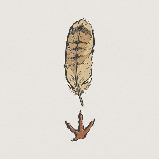 Bird Feather and Track PNG, Nature Shirt Design - 300 DPI Design for