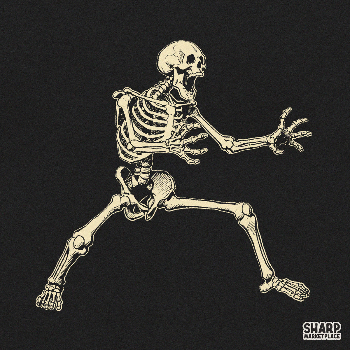 Dynamic Lunging Fighting Skeleton Martial Arts Stance