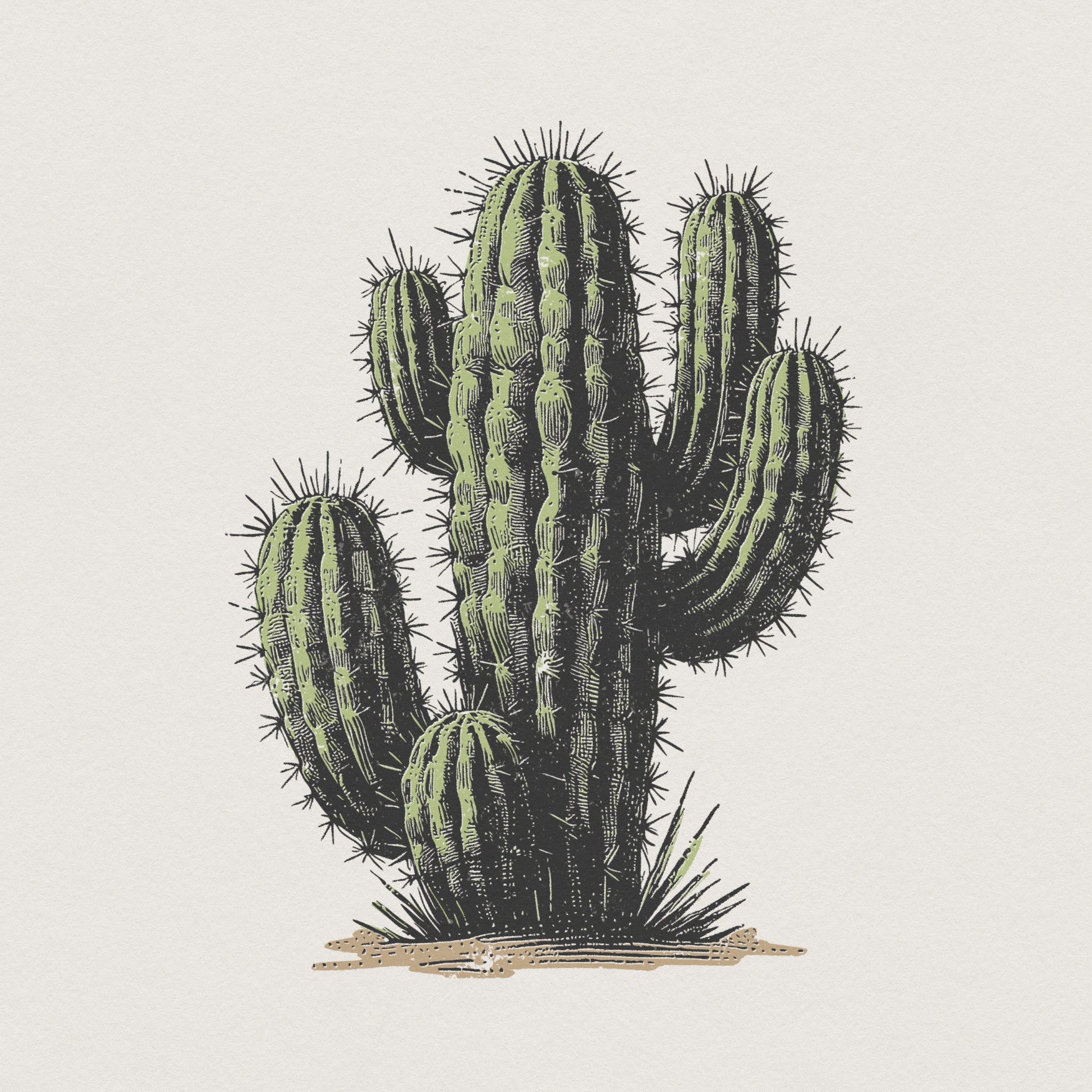 Cactus PNG, Desert Plant Clipart - 300 DPI Design for T-Shirt