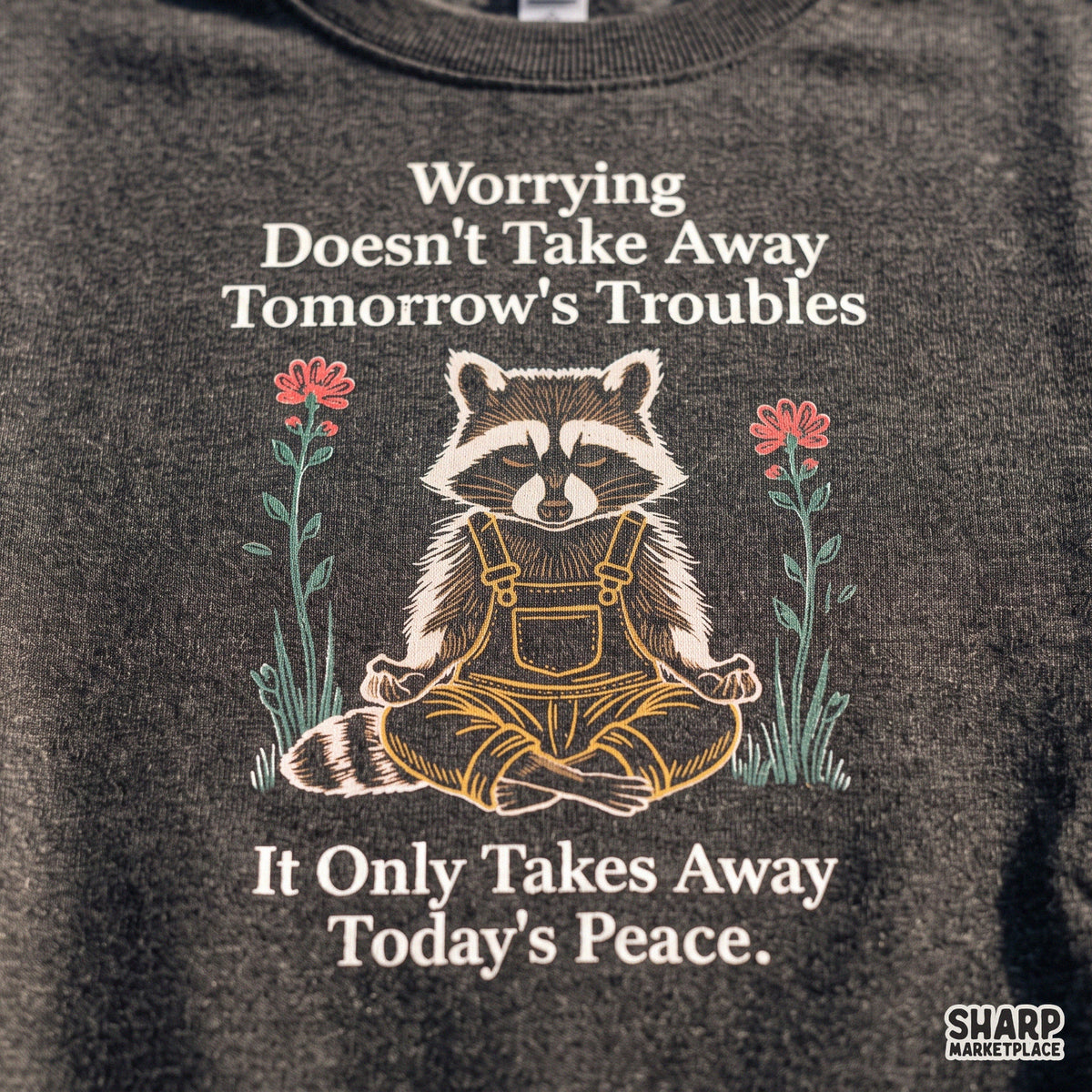 Worrying Doesn't Take Away Tomorrow's Troubles It Only