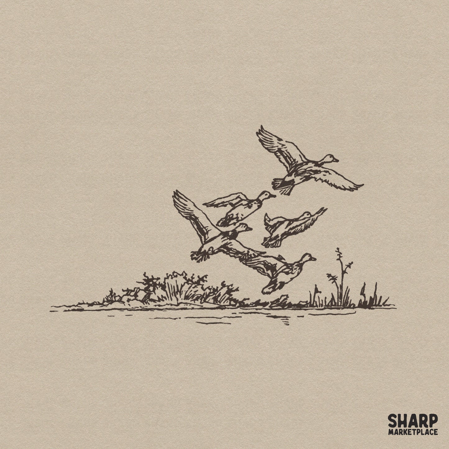 Vintage style line art of a flock of mallard ducks flying over a marshy shoreline with reeds, rendered in monochromatic brown ink on a neutral background.