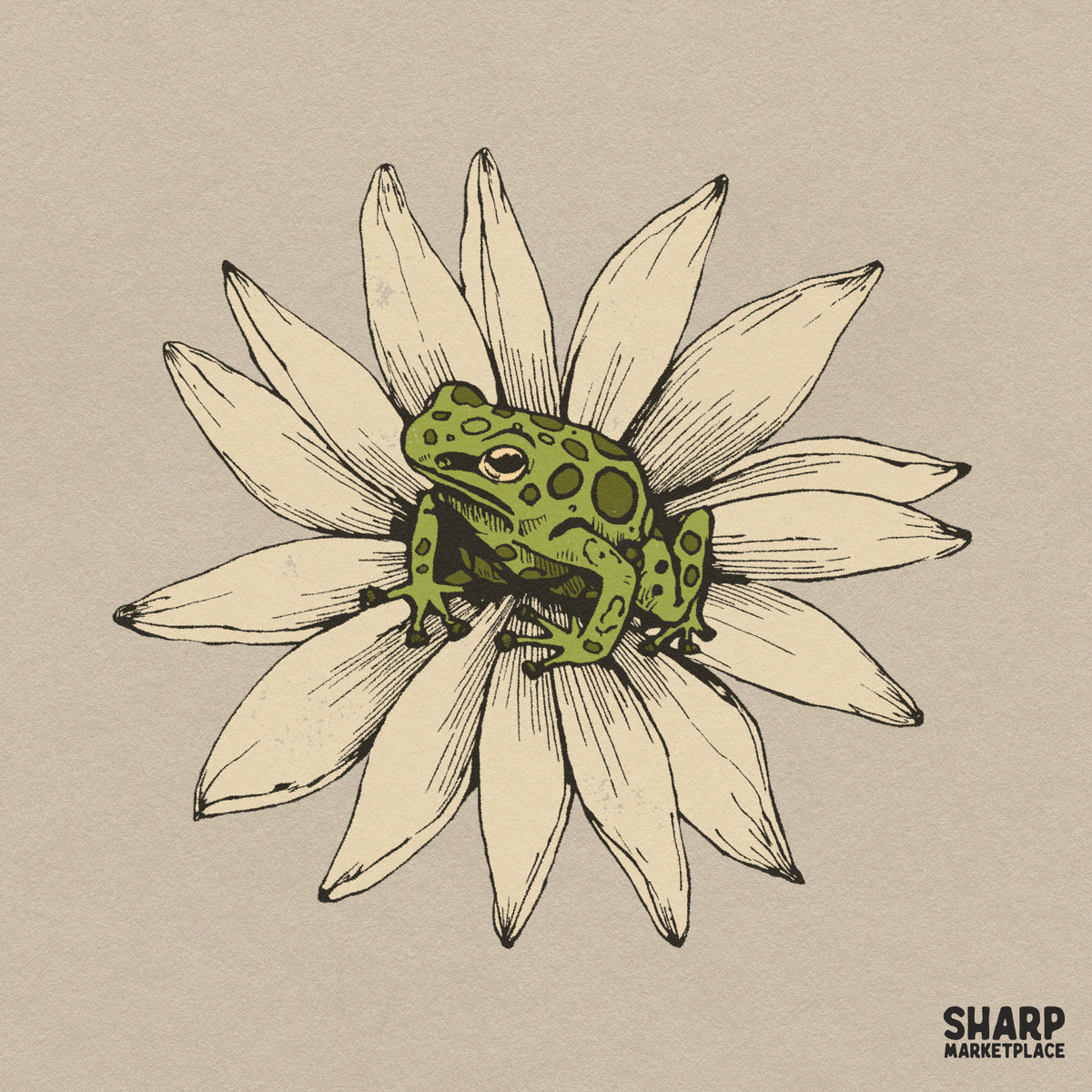 Vibrant green frog sitting on a white daisy flower sublimation PNG graphic for cute spring t-shirt designs