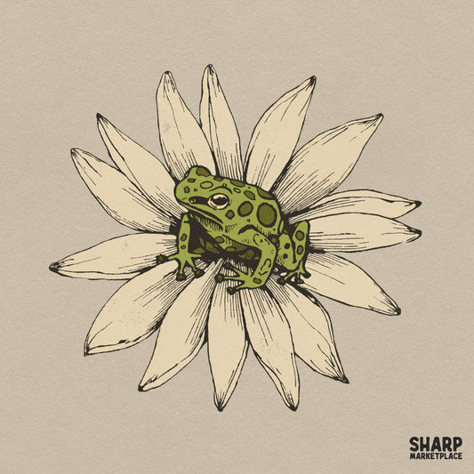 Vibrant green frog sitting on a white daisy flower sublimation PNG graphic for cute spring t-shirt designs