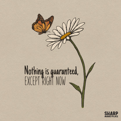 Inspirational quote nothing is guaranteed with retro butterfly and daisy flowers PNG digital design for t-shirts
