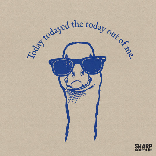 Silly goose in sunglasses with sarcastic today todayed text, funny animal meme PNG for t-shirt sublimation