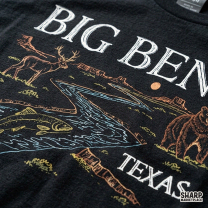 Vintage Big Bend Texas desert scene PNG graphic with bear, deer, and fish for retro national park apparel
