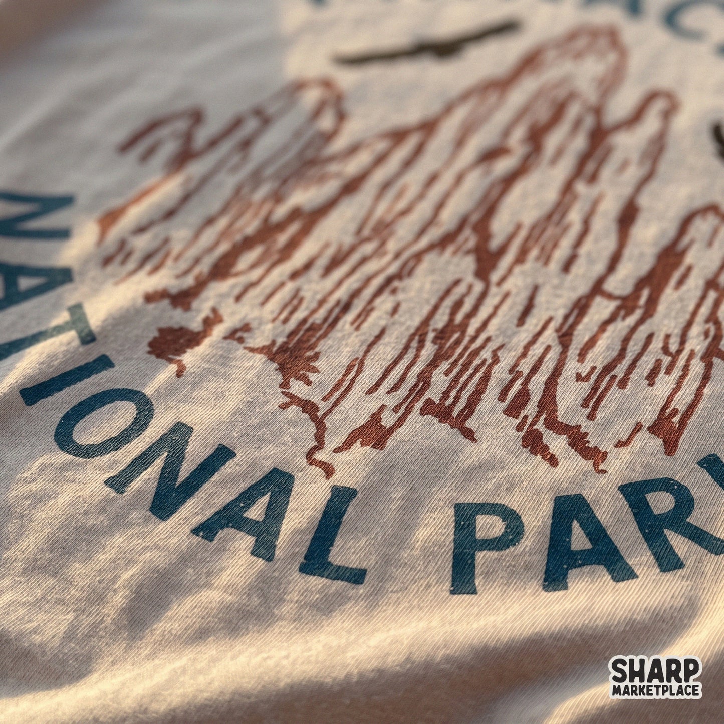Vintage Rocky Mountain and condor graphic retro camping PNG design for outdoor hiking t-shirts