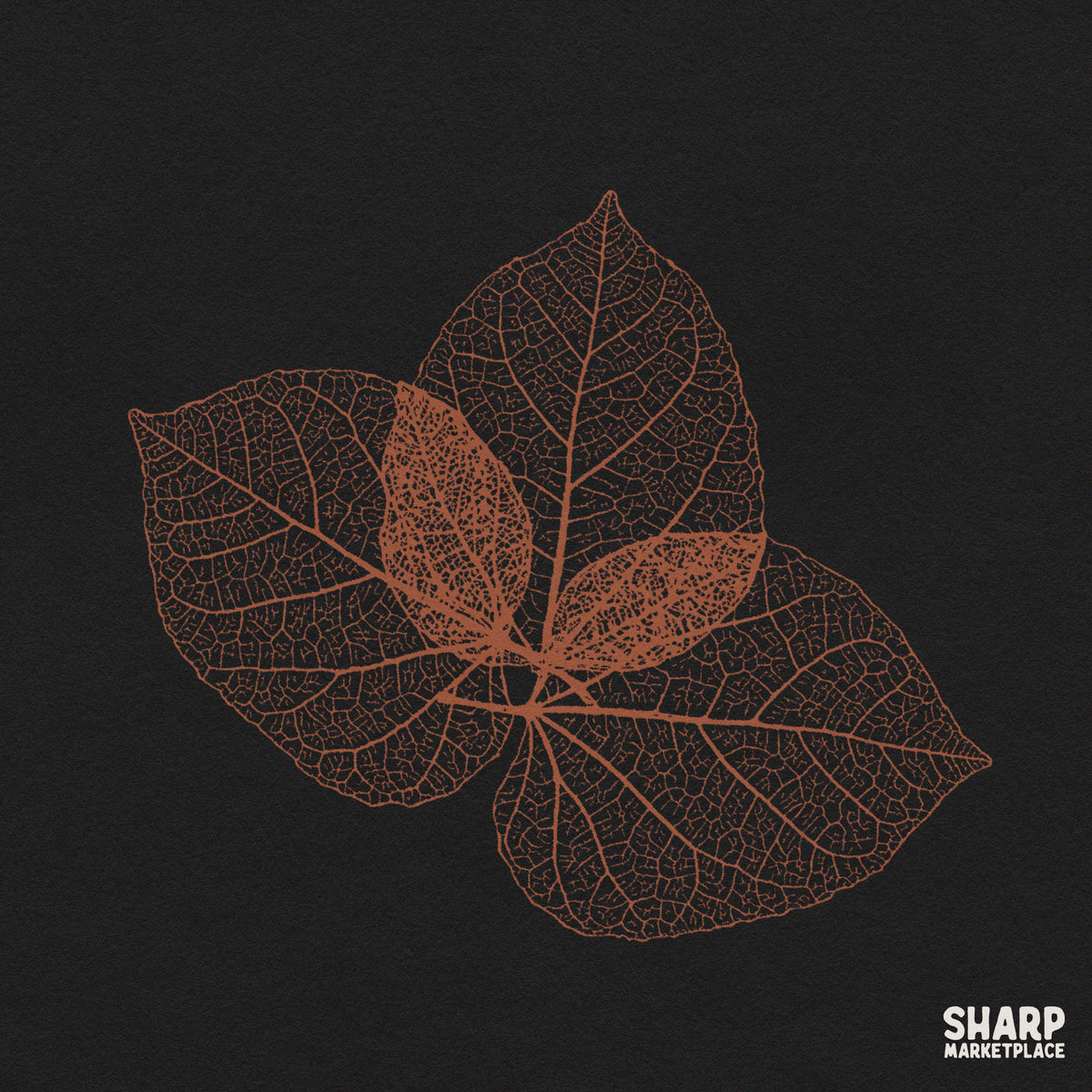 Skeleton leaves botanical illustration on a dark background for retro autumn forest foliage shirt PNG designs