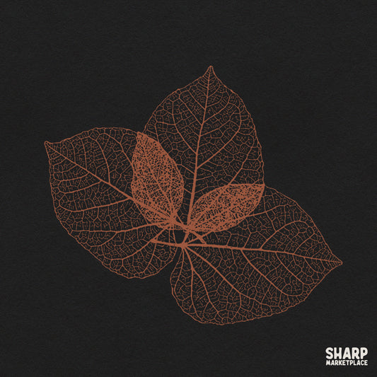 Skeleton leaves botanical illustration on a dark background for retro autumn forest foliage shirt PNG designs