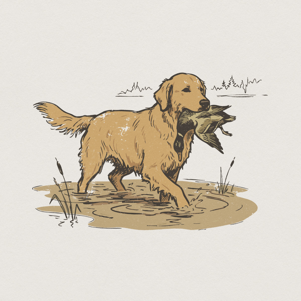 Vintage style golden retriever hunting dog illustration carrying a duck in marshy water, perfect for rustic apparel, sublimation, and wall art.