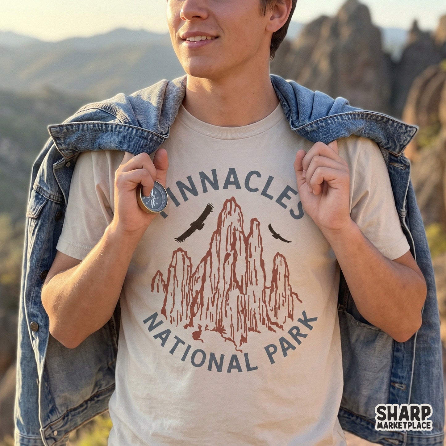 Vintage Pinnacles National Park graphic featuring rocky mountains and condor birds for retro camping shirt designs