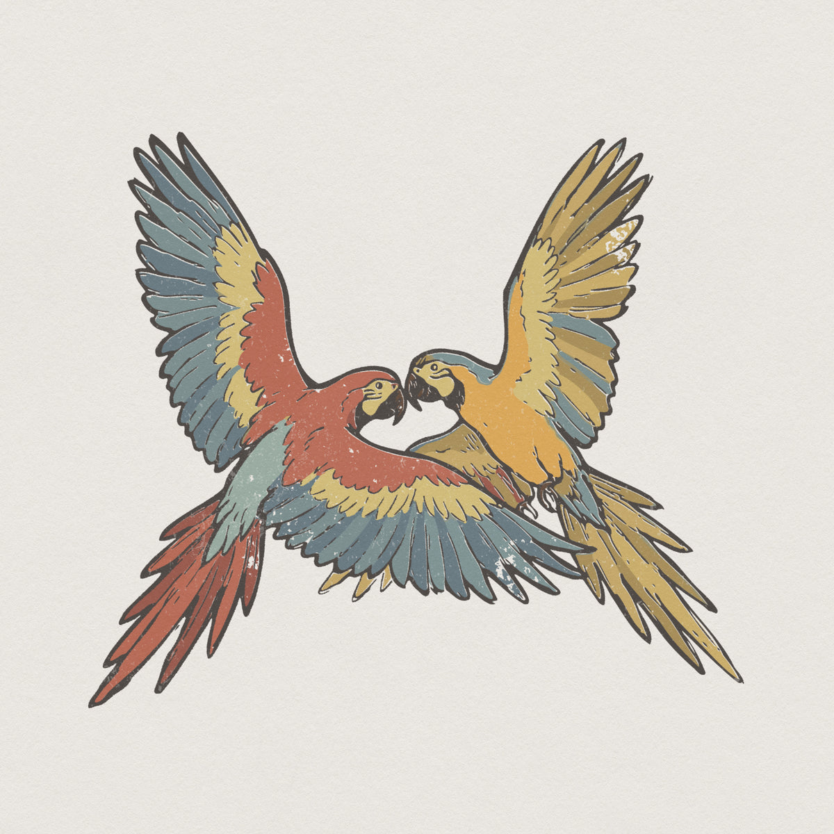 Vintage style illustration of two colorful macaw parrots in mid-flight with distressed red, yellow, and blue feathers for sublimation or apparel