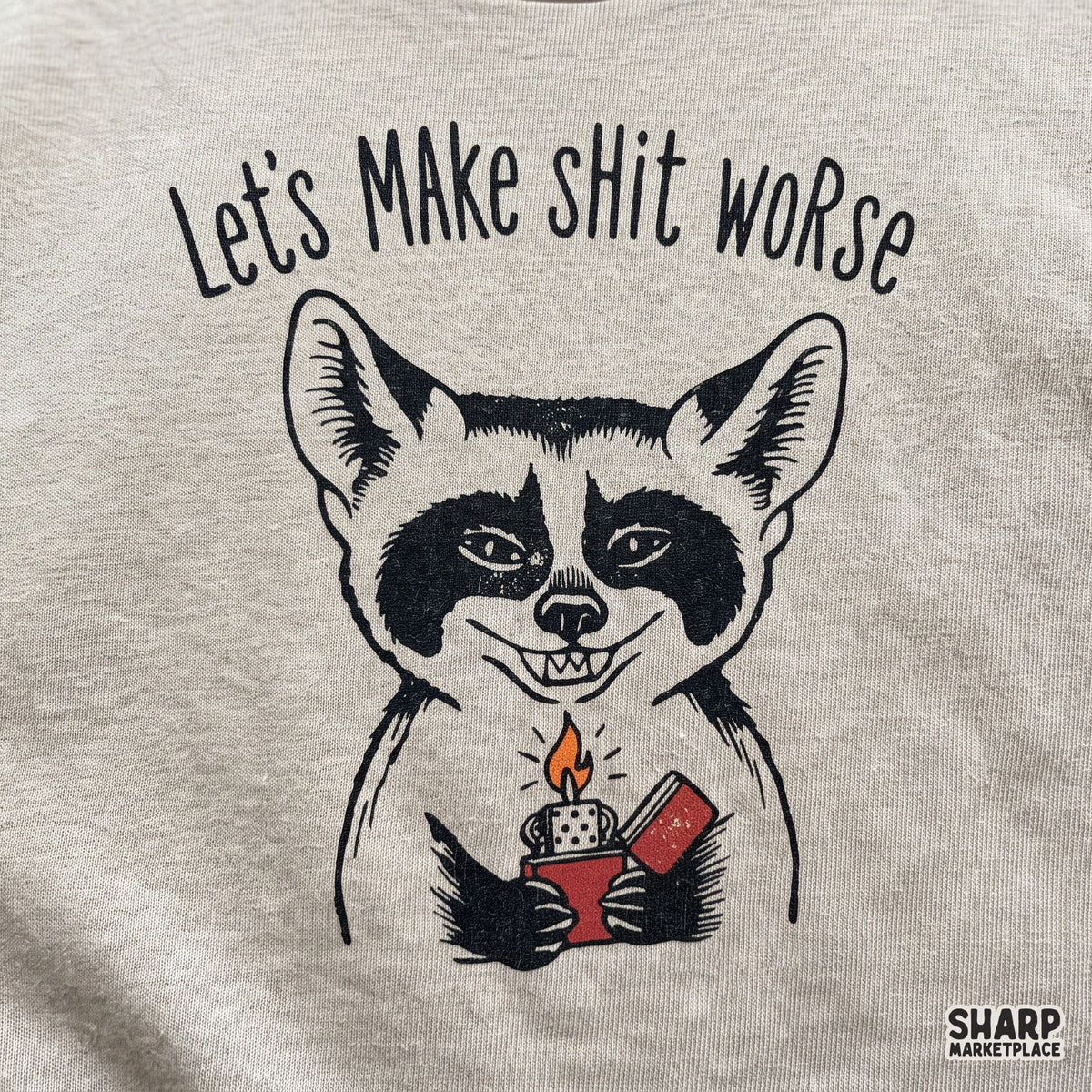 Let's Make Shit Worse PNG, Smirking Raccoon Holding