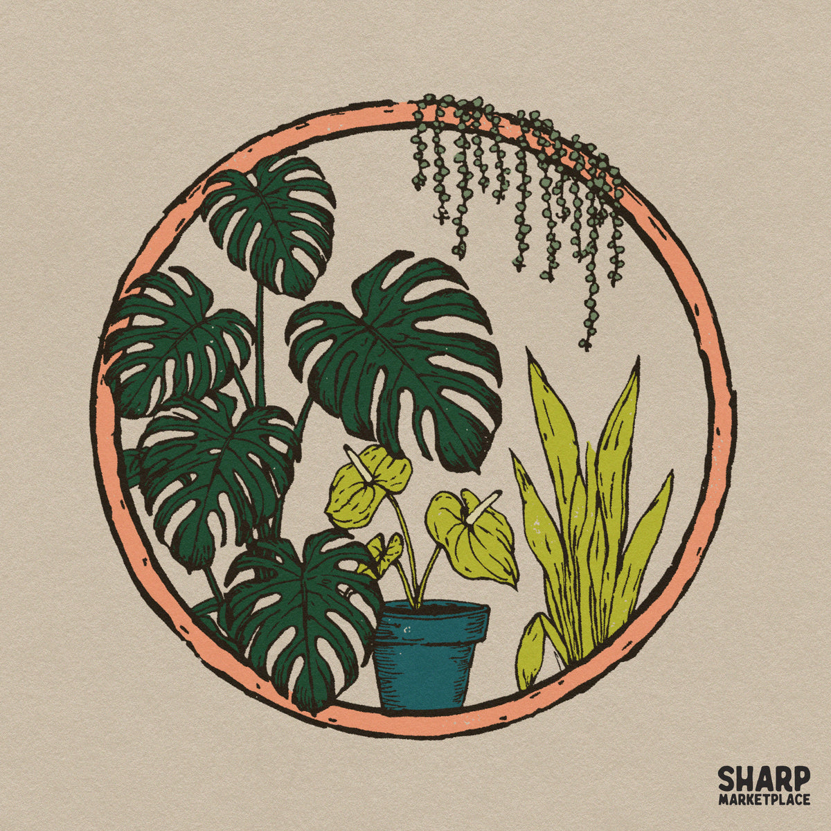 Botanical Monstera Houseplants Terracotta Circle, Mothers