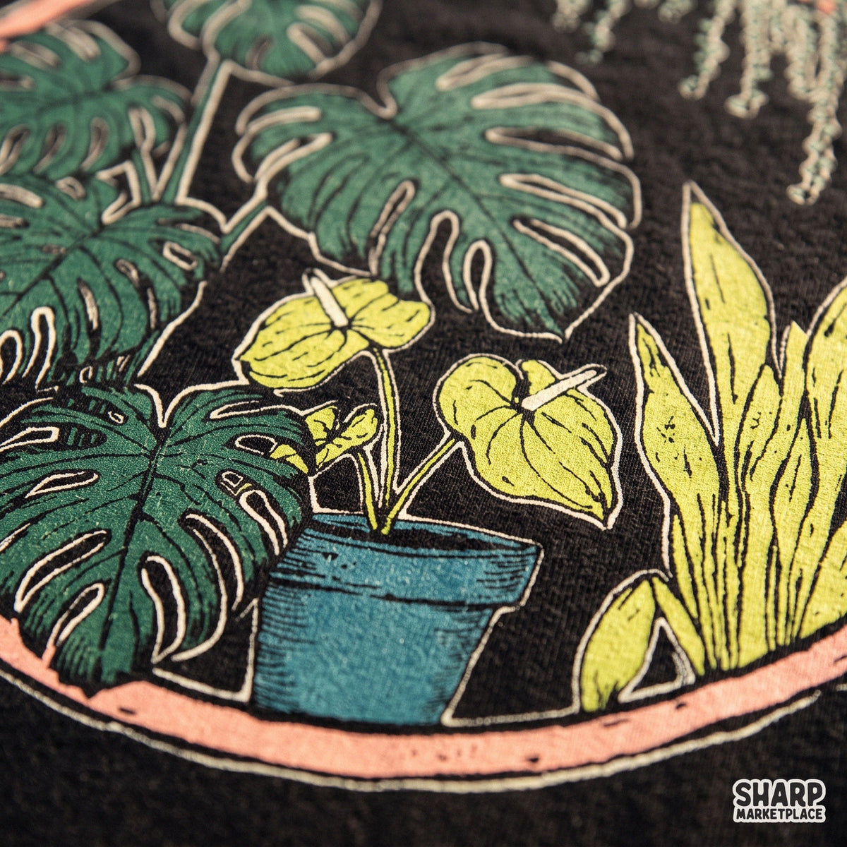 Botanical Monstera Houseplants Terracotta Circle, Mothers