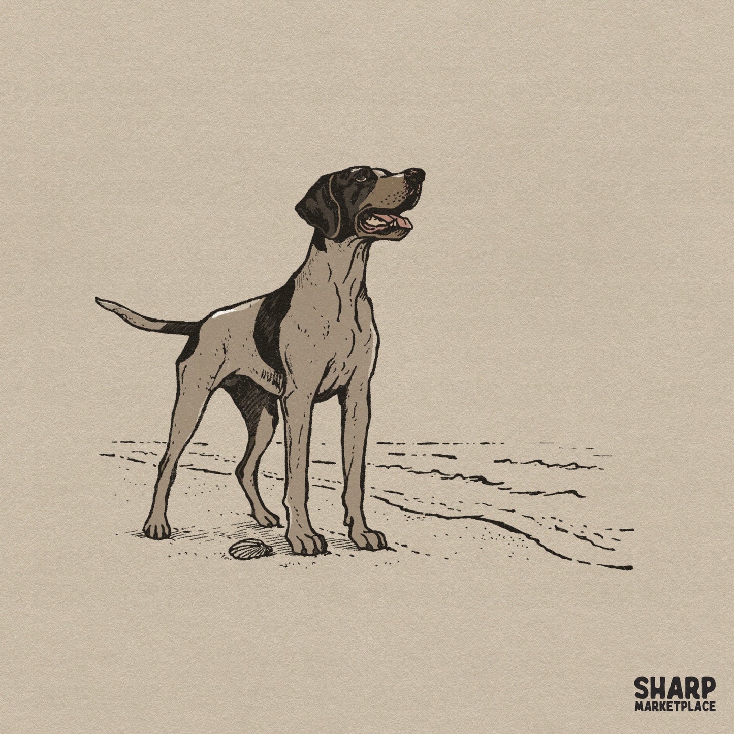 Vintage sketch of a pointer dog standing on a sandy beach with a seashell, rendered in earthy tones for apparel printing.