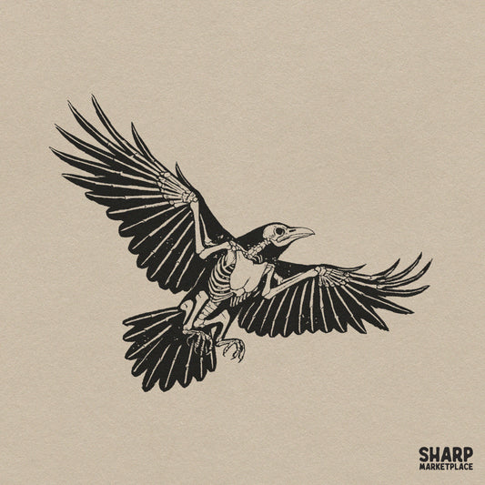 Flying Crow Skeleton Drawing, Dark Gothic Raven Anatomy