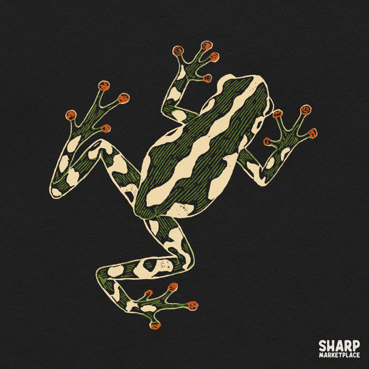 Vibrant green and black poison dart frog top down illustration for tropical amphibian shirt sublimation PNG designs