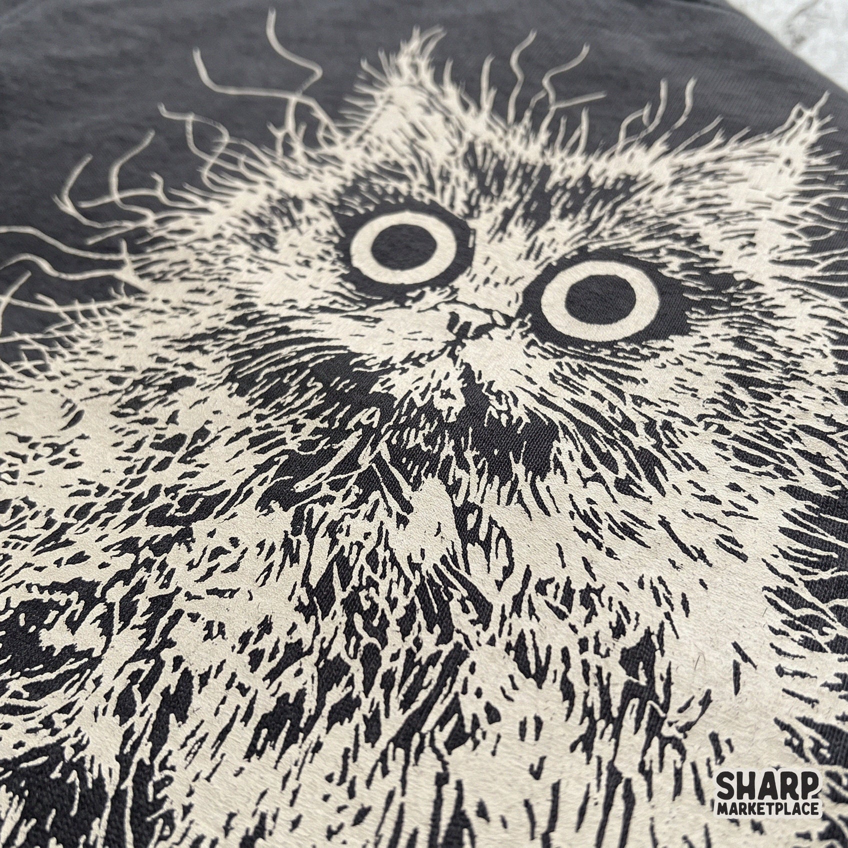 Unhinged frizzy fluffy cat with crazy wide eyes retro png graphic for trendy animal meme t-shirts and sublimation