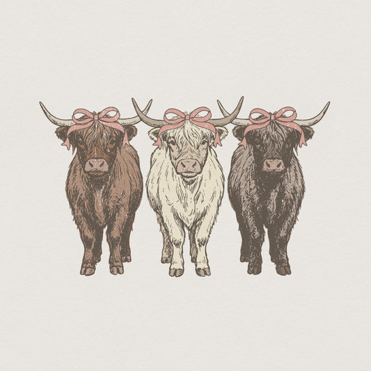 Highland Cow PNG Trio With Bows, Cute Farm Animal Design - 300 DPI Design