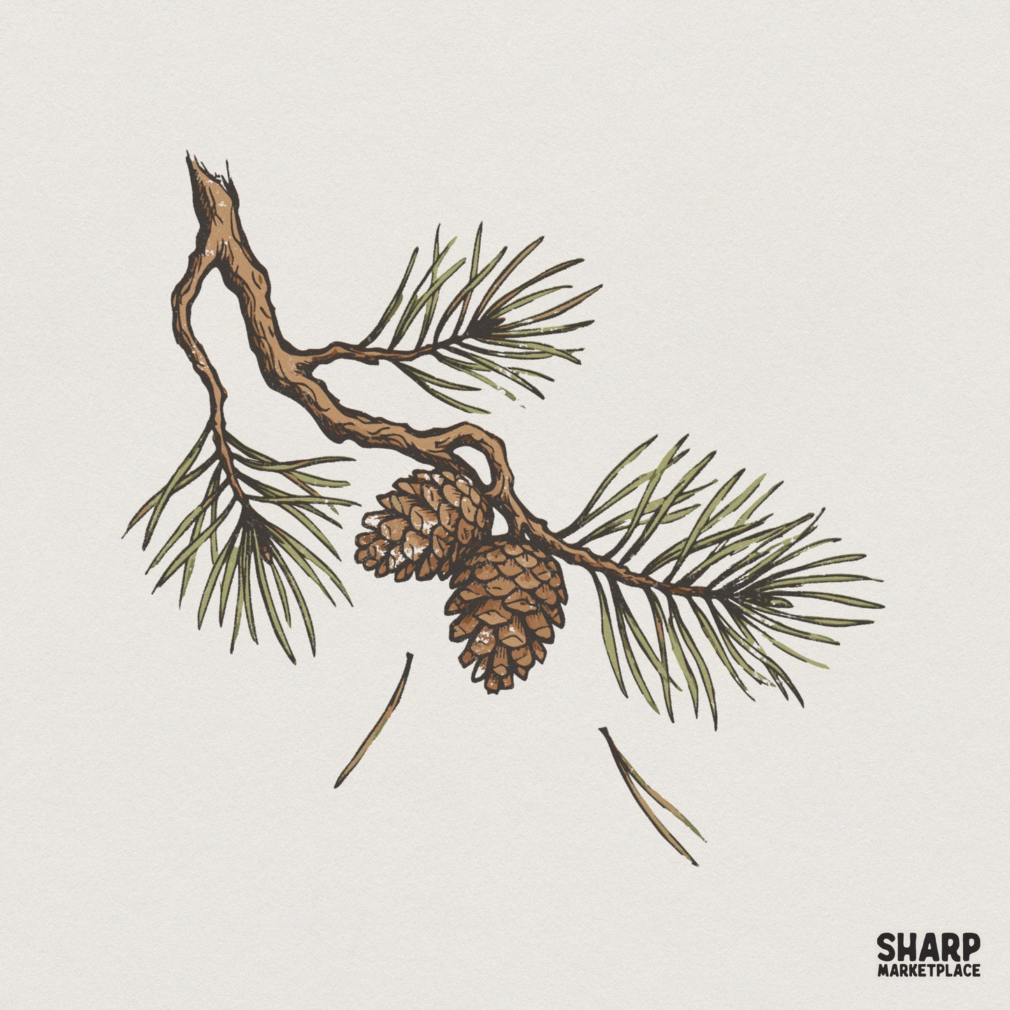 Pine Branch PNG, Botanical Nature Clipart - 300 DPI Design for T-Shirt
