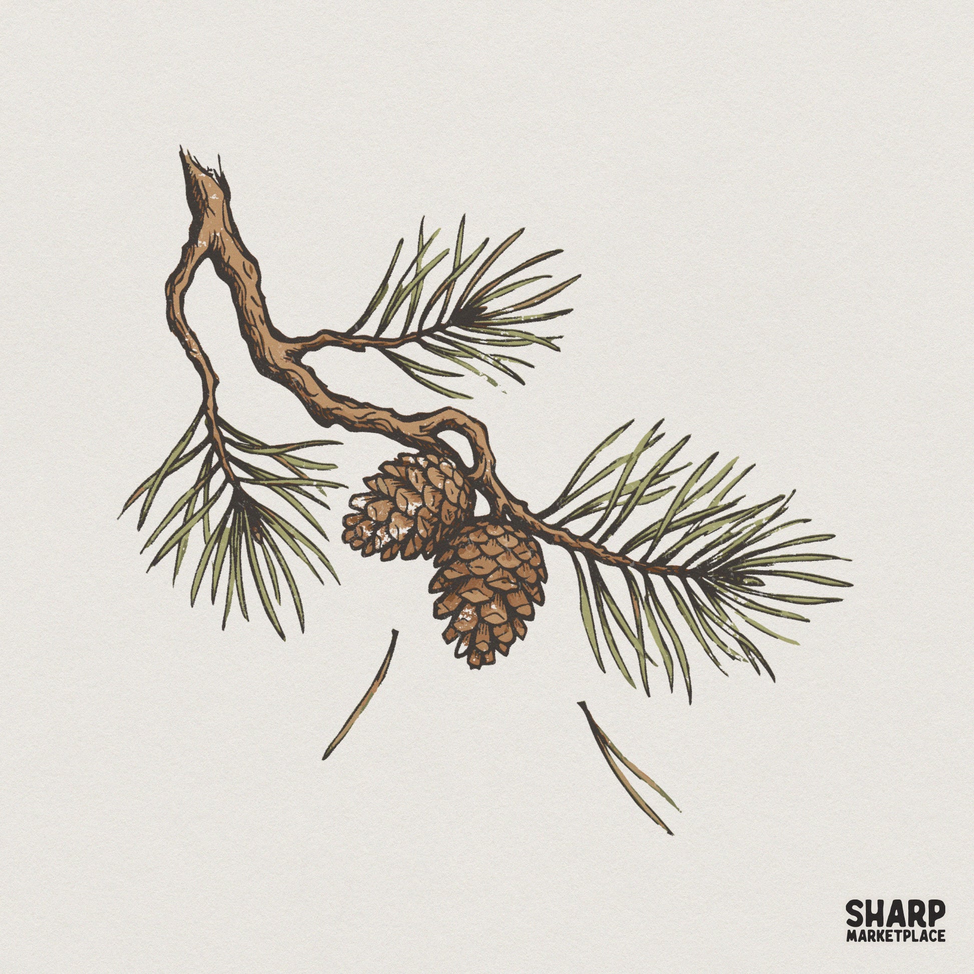 Pine Branch PNG, Botanical Nature Clipart - 300 DPI Design for T-Shirt