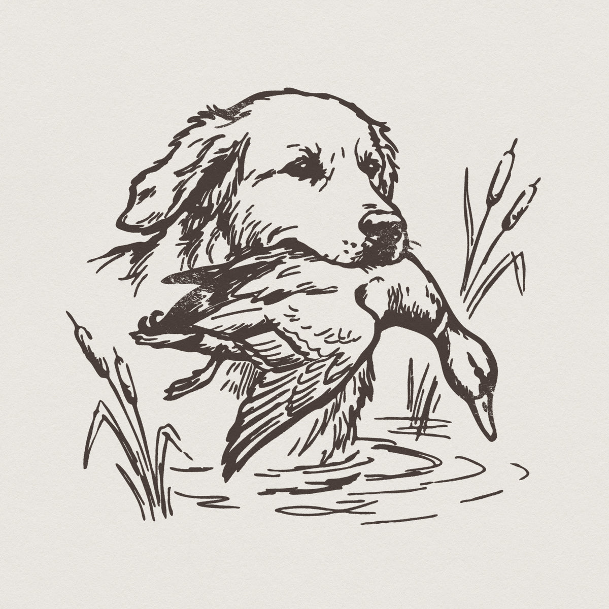 Vintage woodcut style illustration of a golden retriever carrying a duck in its mouth, surrounded by cattails, perfect for hunting apparel.