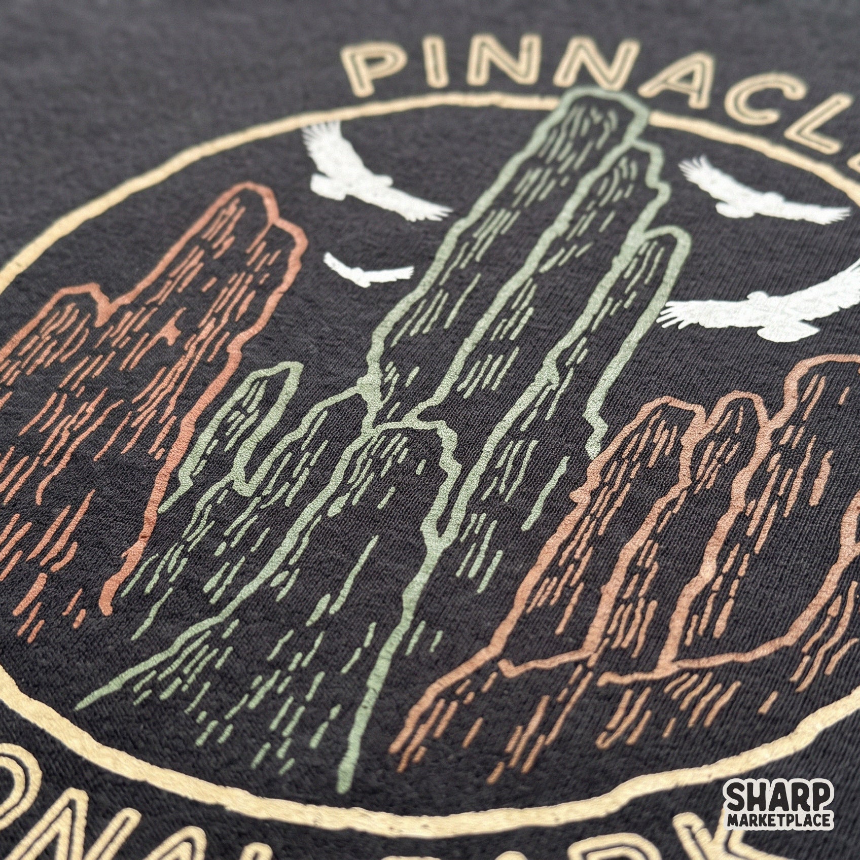 Vintage eagle illustration for Pinnacles National Park camping shirts and retro sublimation design