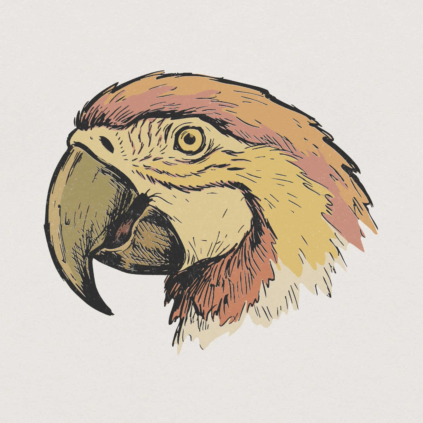 Hand drawn parrot head illustration with textured line art in warm yellow and orange tones, perfect for tropical bird themed sublimation or apparel.