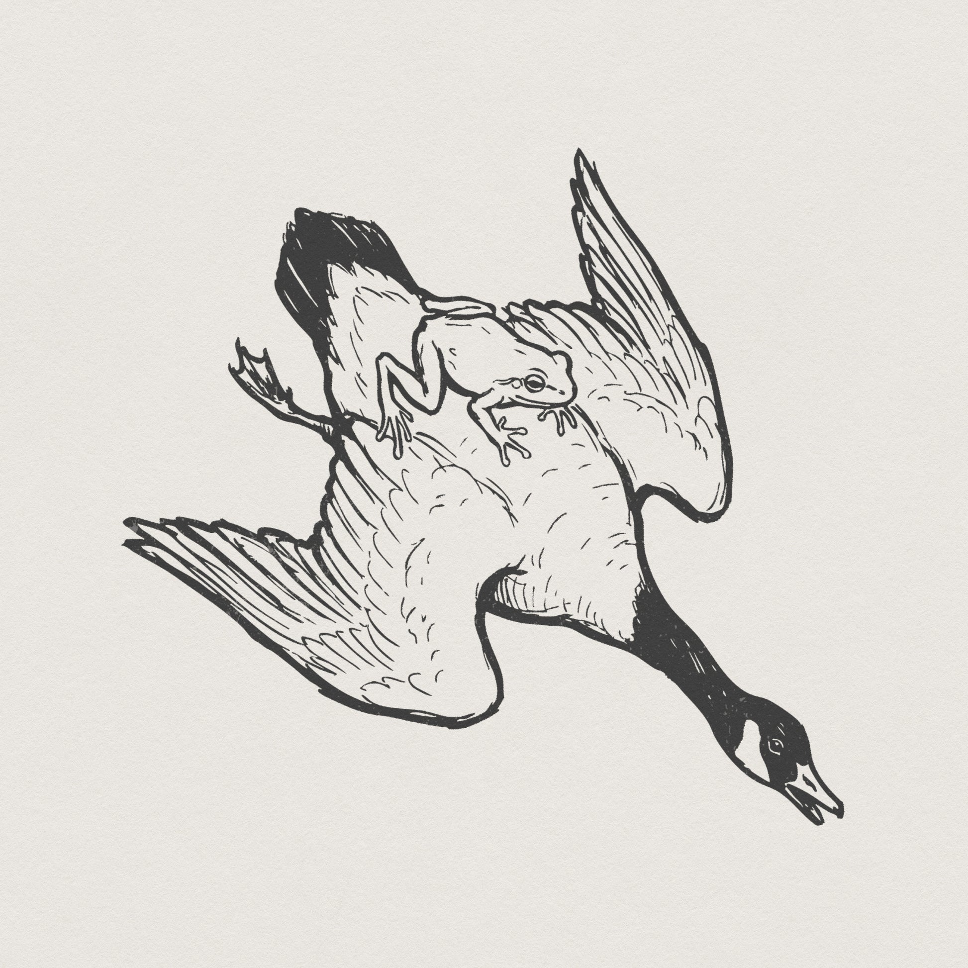 Riding The Goose PNG, Frog and Goose Line Art - 300 DPI Design for T-Shirt