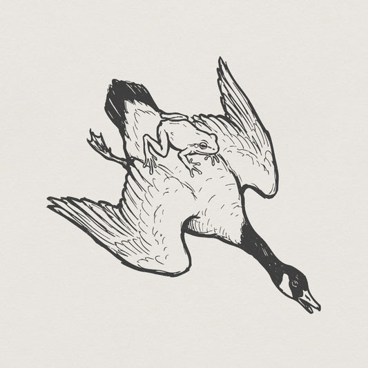 Riding The Goose PNG, Frog and Goose Line Art - 300 DPI Design for T-Shirt