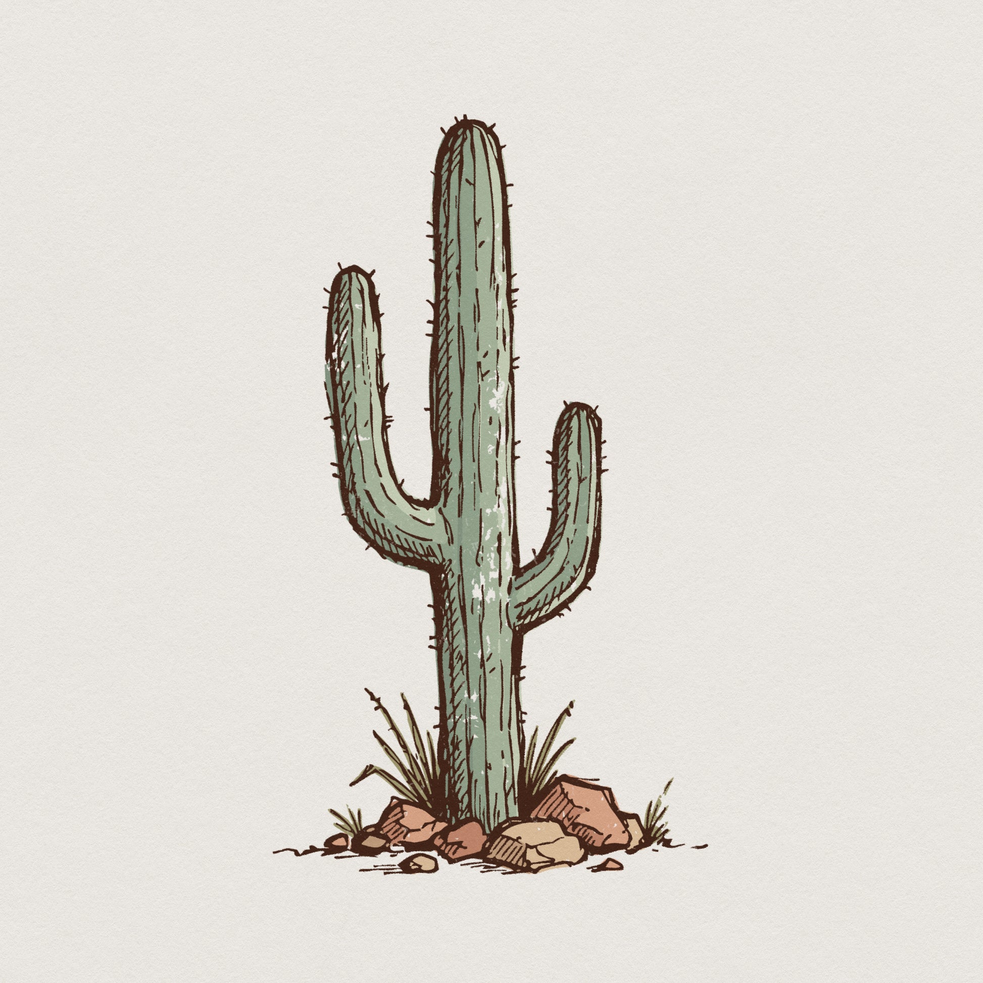 Cactus PNG, Desert Plant Illustration - 300 DPI Design for T-Shirt