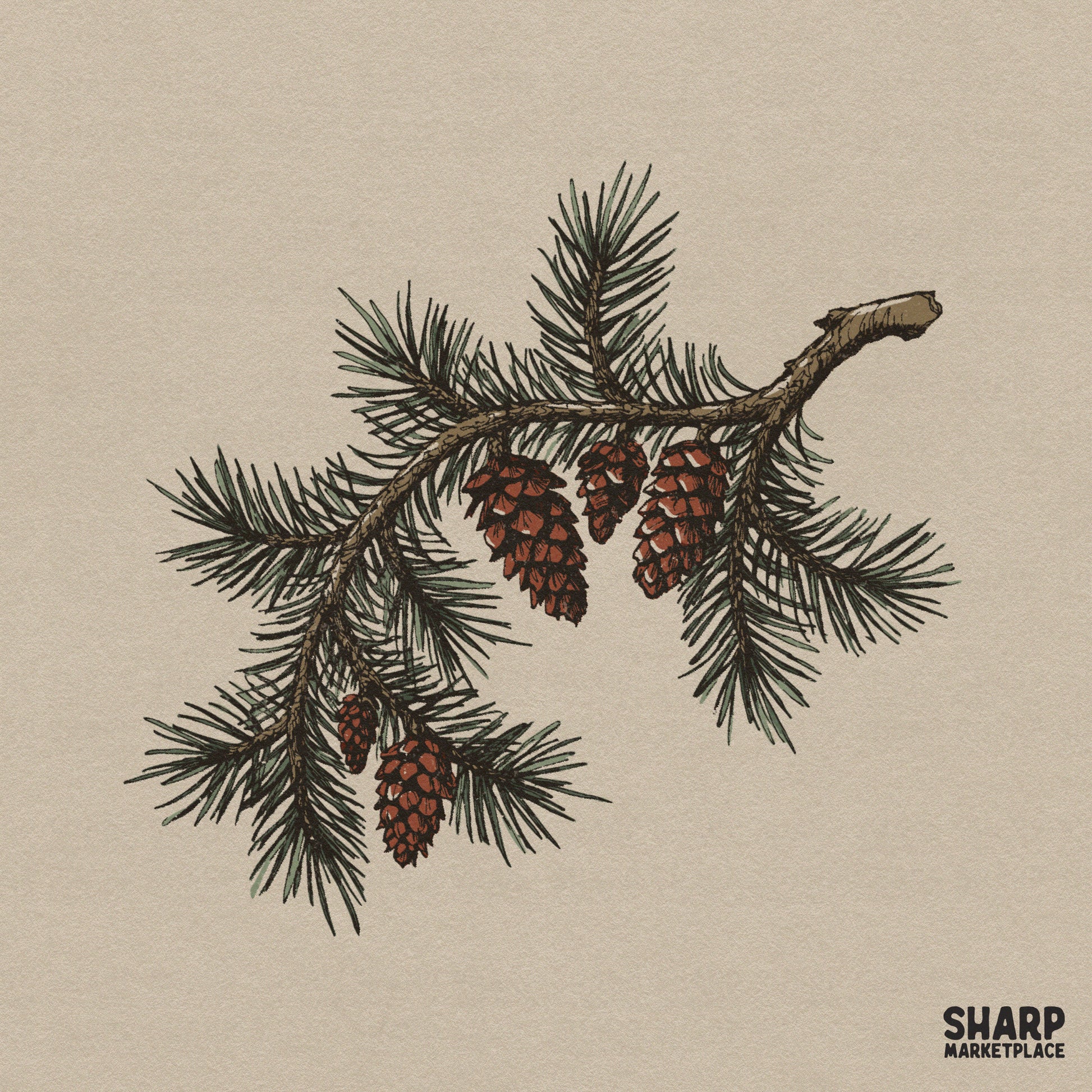 Rustic pinecone and pine branch botanical illustration for cozy winter sublimation and fall nature art prints
