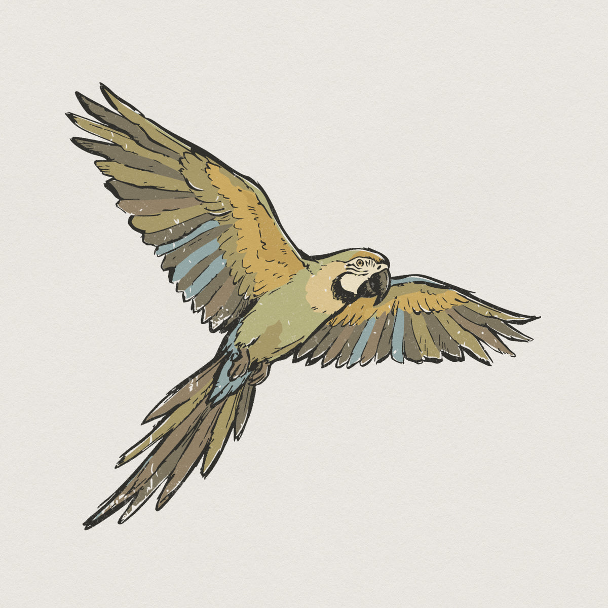 Hand-drawn flying macaw parrot in a vintage sketch style with sage green, ochre, and muted blue feathers, perfect for tropical apparel sublimation.