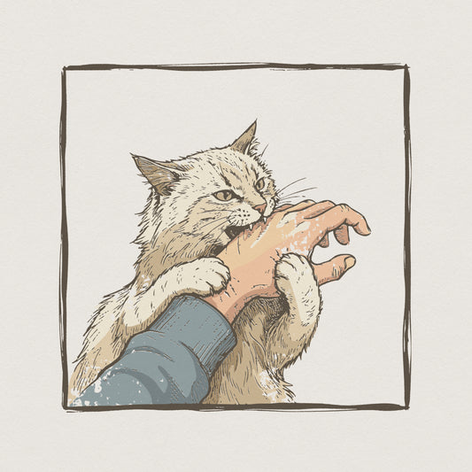 Cat Biting Hand PNG, Funny Cat Attack Shirt - 300 DPI Design for T-Shirt