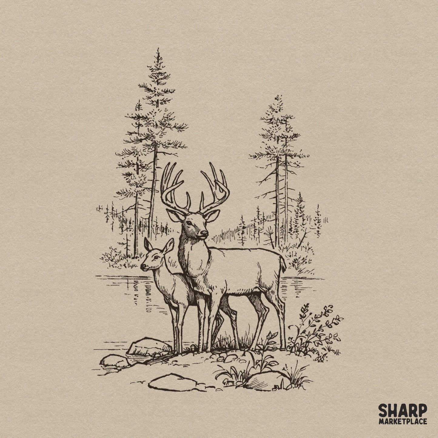 Vintage buck and doe deer nature sketch graphic for retro hunting sublimation designs and outdoor wildlife apparel