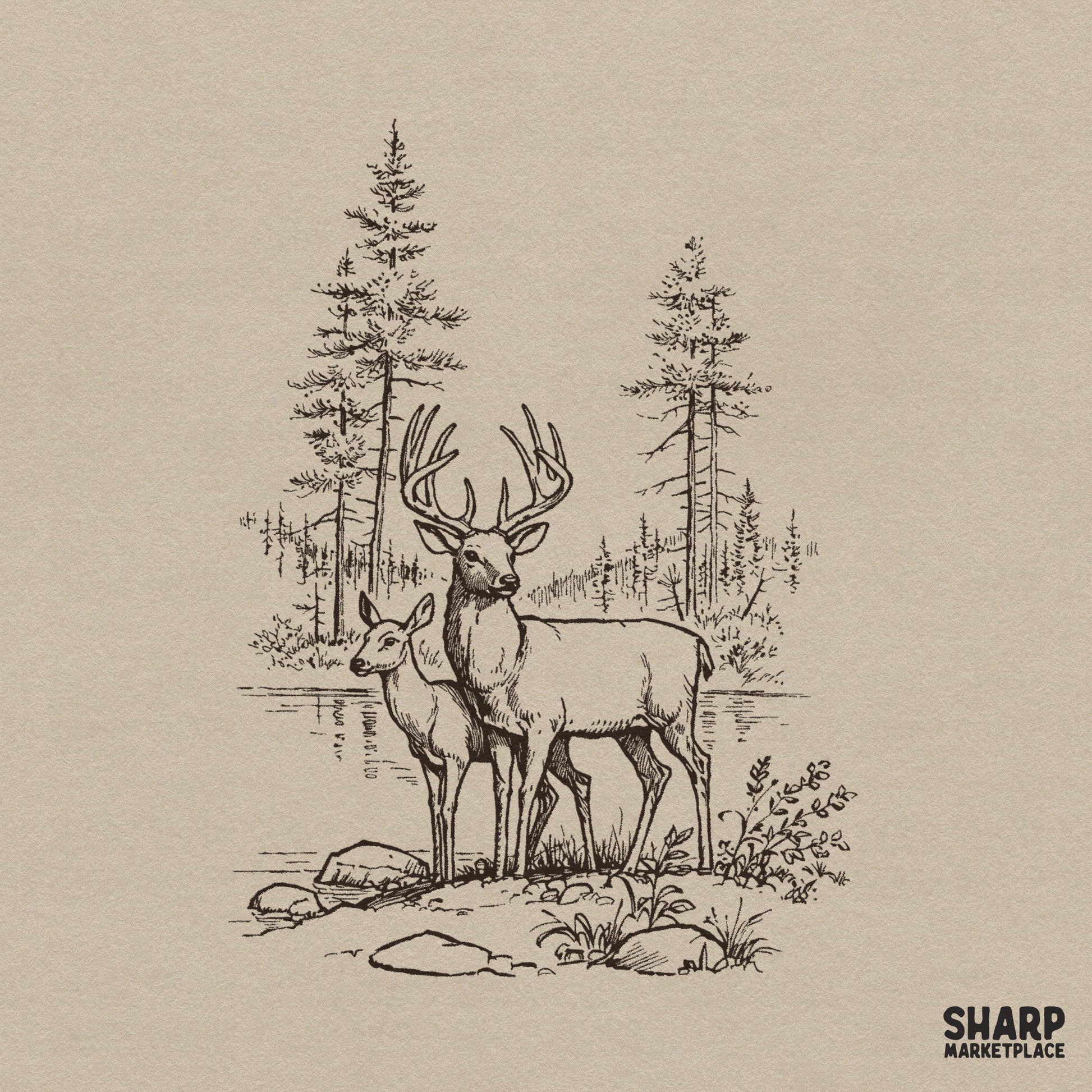 Vintage buck and doe deer nature sketch graphic for retro hunting sublimation designs and outdoor wildlife apparel